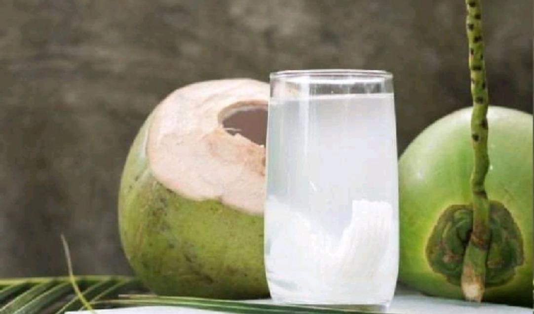 es kelapa