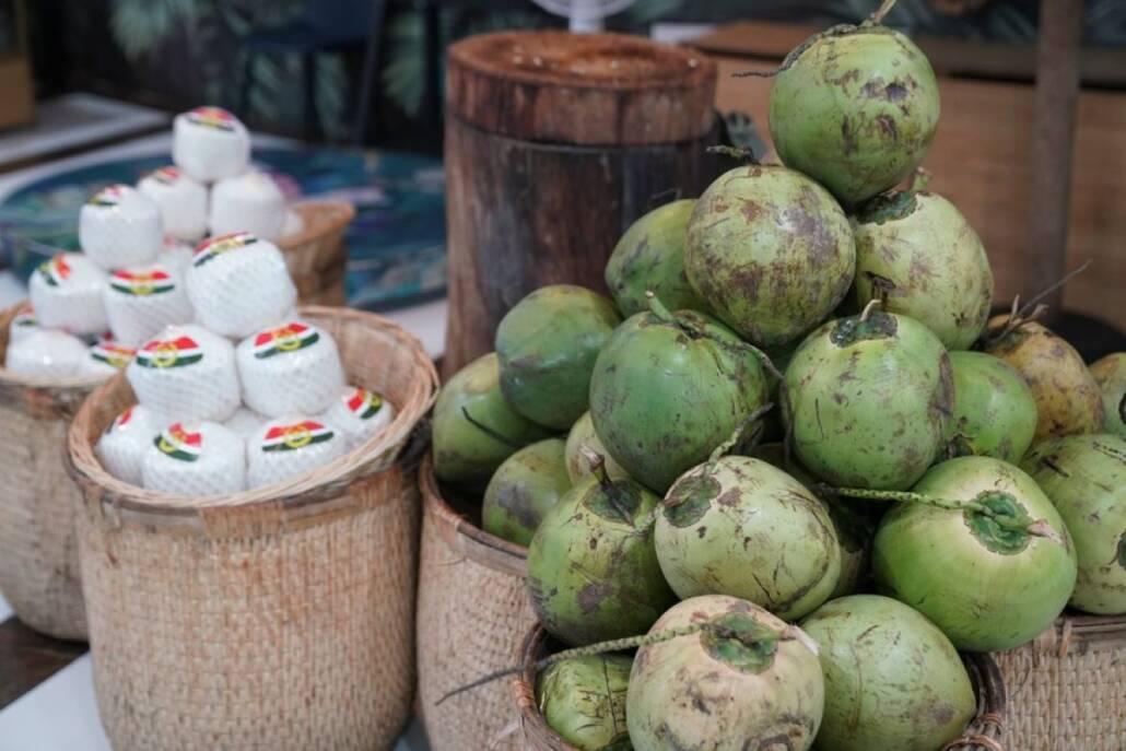 Kelapa yang Digunakan untuk Santa