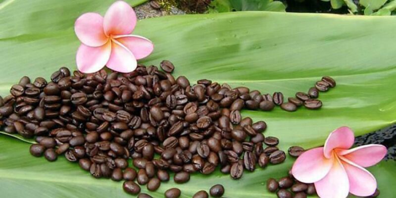 Hawaiian Kona Coffee