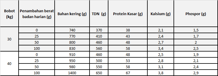 makanan kambing etawa