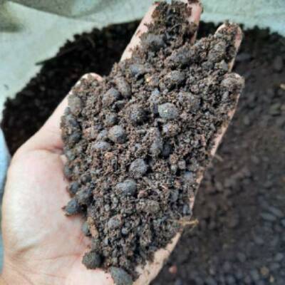 Cara Membuat Pupuk Kompos dari Kotoran Kambing
