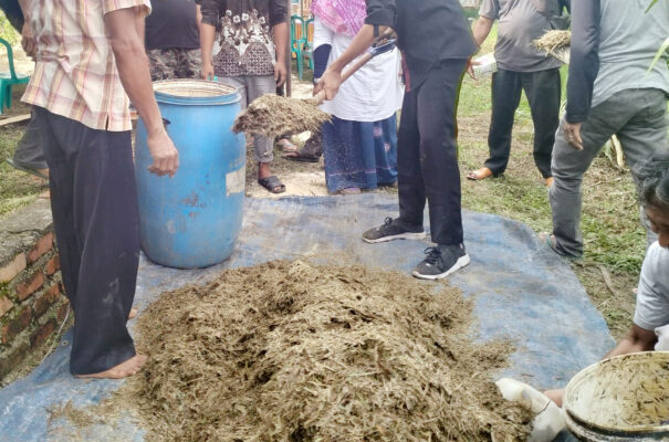 fermentasi pelepah sawit