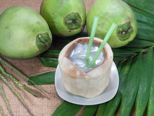 manfaat air dan daging kelapa