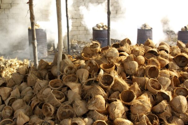 batok kelapa untuk industri