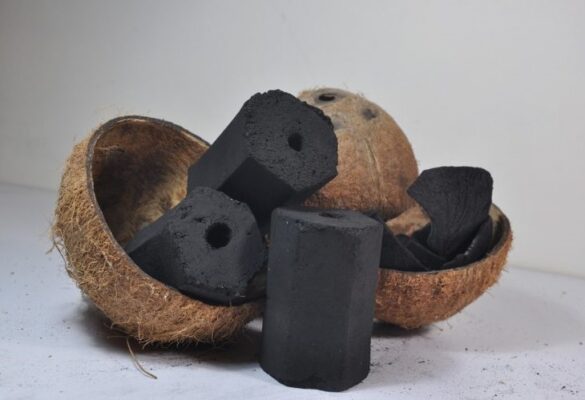 batok kelapa jadi briket