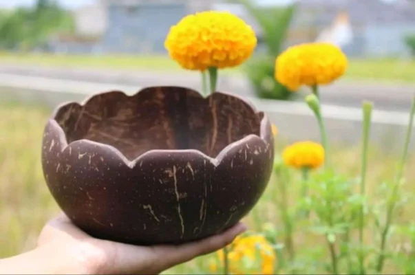 olahan Batok Kelapa