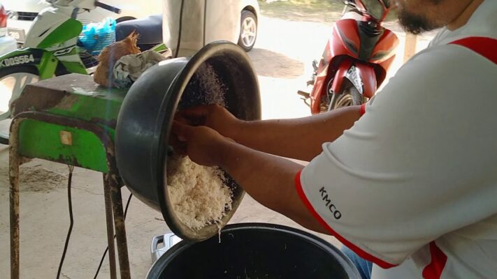 memarut kelapa juga menjadi salah satu cara membuat vco dengan pemanasan