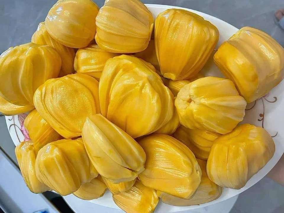 gambar buah nangka 