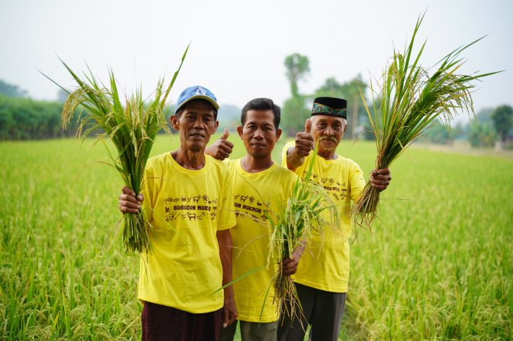 syarat lokasi dapur mbg