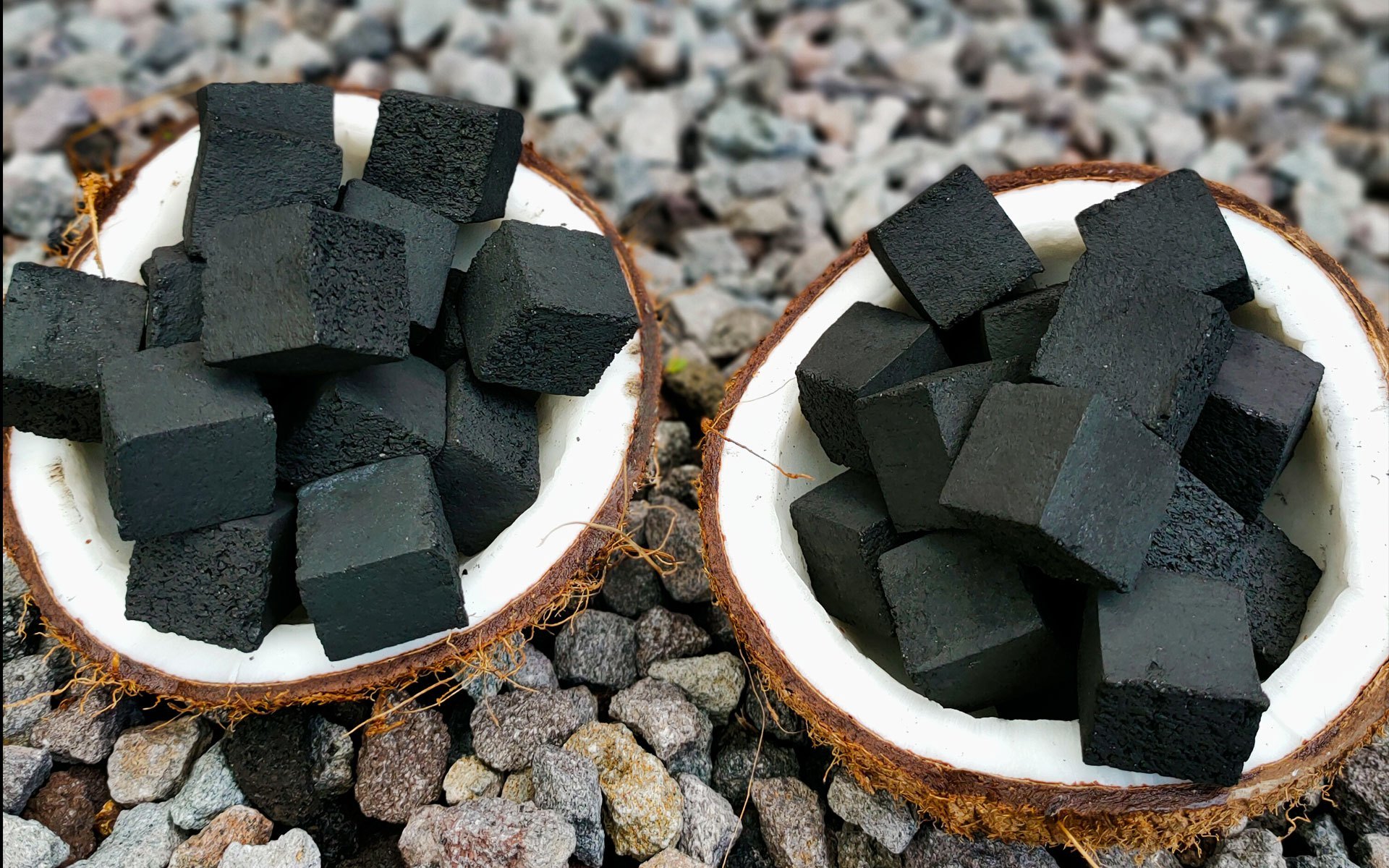 usaha briket tempurung kelapa