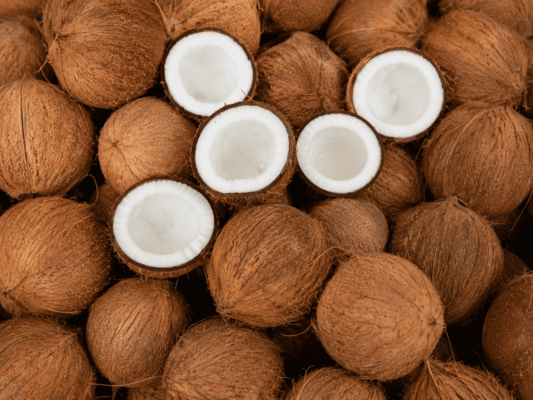cara meningkatkan produksi santan