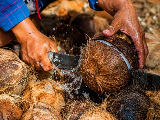 cara membuat kelapa berkualitas