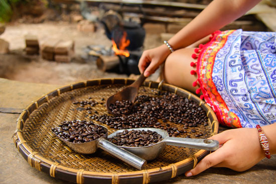 cara memilih biji kopi berkualitas